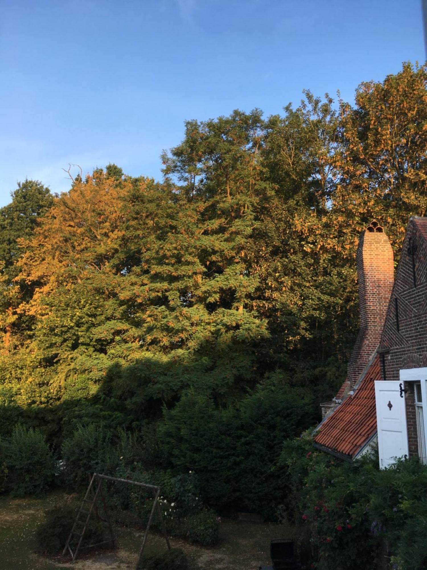 Le Pigeonnier, Maison D'Hotes Et Spa Croix Eksteriør bilde